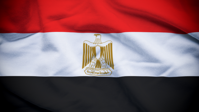 Egypt Flag image