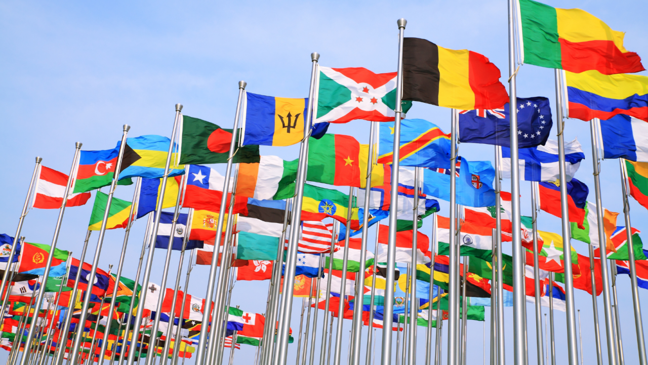 Flags of the world